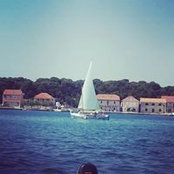Natalija Dedic's photo