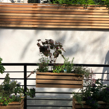 Grow your veggies