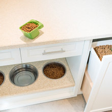 Dog Feeding Station