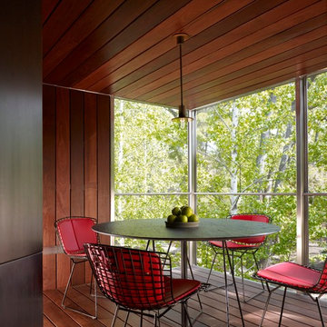 Hinsdale Residence featuring Fleetwood Windows and Doors