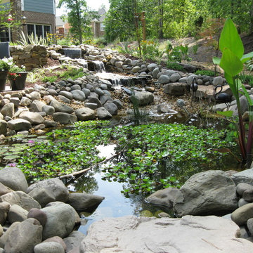 Water Features