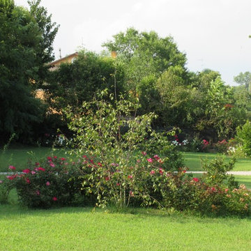 Fioriture di rose