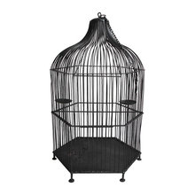 Bird Cages