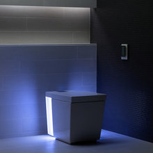 In the Crystal Bowl: The Future of Toilets in the Home