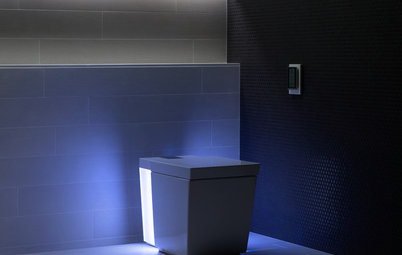 Straight Flush: The Future of Toilets in the Home
