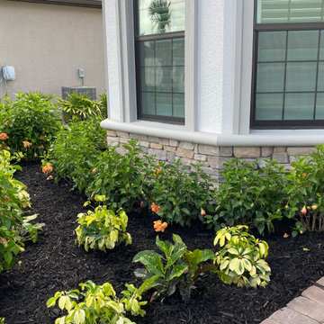 Tropical Landscaping Re Do