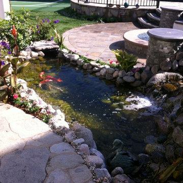 Beverly Hills Tranquility