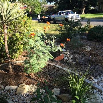 Xeriscape #2