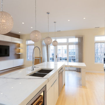 Chicago River north complete condo rehab