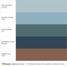 color palette