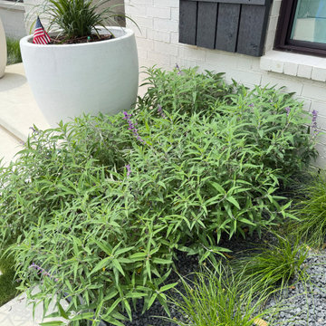 Landscape Bed Decorative Planters Flowering Shrubs