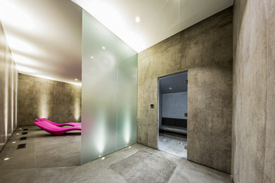 Frameless Shower Screens