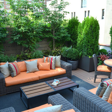 Chelsea Terrace Garden