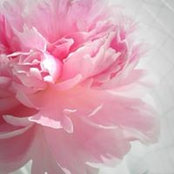 Helene Vera's photo