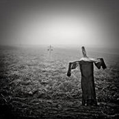 Adam Wiciński's photo