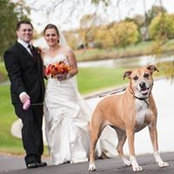 Sean Weppler's photo