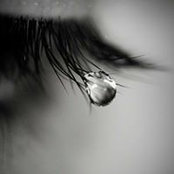 Diane Mainardi's photo