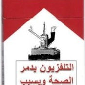 Aya Ibrahim's photo