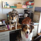 Kelly Krape Anderson's photo