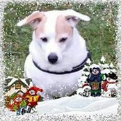 Foto von Silvia Krause