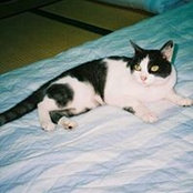 Yoko Murakami's photo