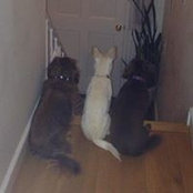 Jan Chiampa's photo