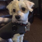 Kristen Biehle's photo