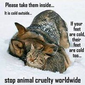 Christine Koczur's photo
