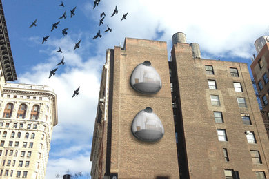 Cliff Swallow Apartment