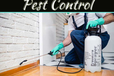 Why Pest Control Is Such An Essential Home Service