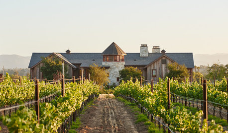 Comment cultiver la vigne ?