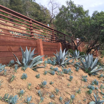 Hillside landscape and front yard