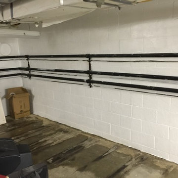 Mold Growing on Cement Walls