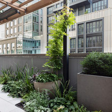 Garden Inspiration