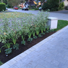 Side yard