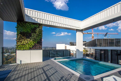 This is an example of a small contemporary rooftop deck in Brisbane with a vertical garden.