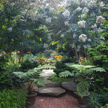 Landscape Ideas