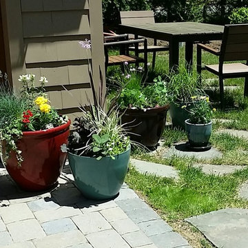 Belmont - Container gardens for patio