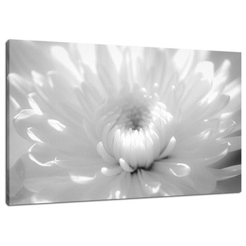 Infrared Flower 2 Floral Nature Photography Canvas Wall Art Print, 24" X 36"