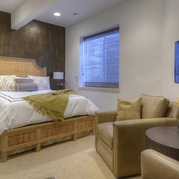 Lower Level Remodel