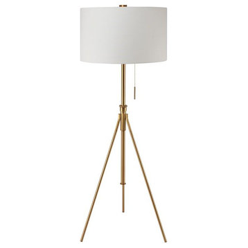 Furniture of America Coria Contemporary Metal 20" Floor Lamp in Stained Gold