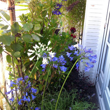 Un balcon filant à Paris Saint Germain...