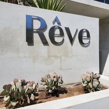 Reve