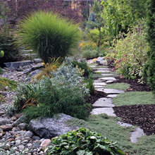 Garden Dry Creek Beds