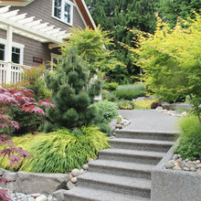 Landscape Ideas