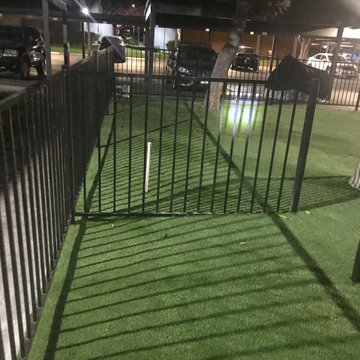 Dog Park
