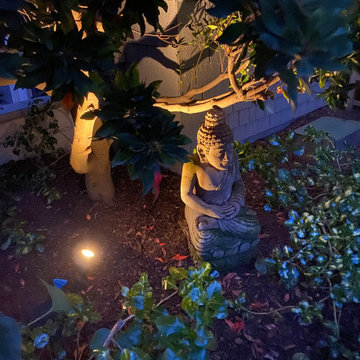 Outdoor Landscape Lighting