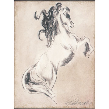 "Majestic Horse I" Canvas Art, 16"x24"