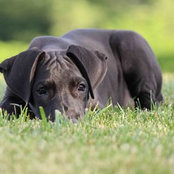 Lacey Cloud's photo
