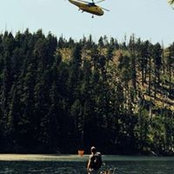 Tyler Stones billede